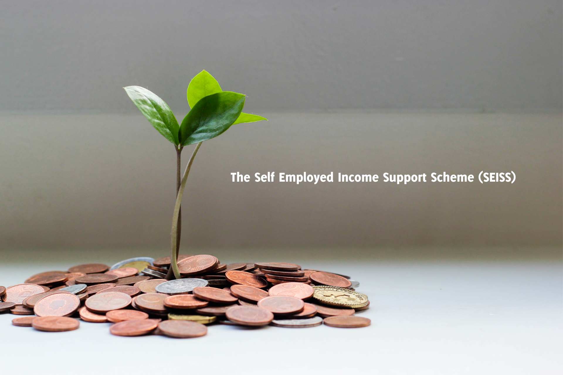 The Self Employed Income Support Scheme (SEISS)